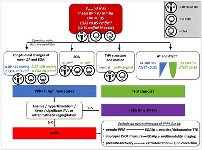 Clinical and Technical Challenges of Prosthesis–Patient Mismatch After Transcatheter Aortic Valve Implantation